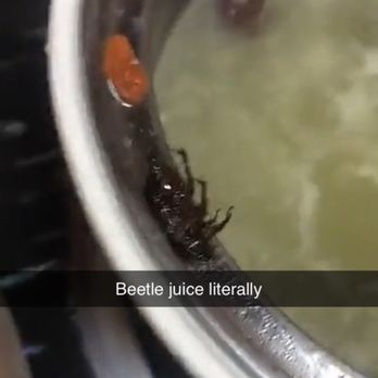 818 Heat - if you enjoy bugs sit outside - Hot Pot Near Me - Boca Raton, Florida 818 Heat - if you enjoy bugs sit outside - Hot Pot Near Me - Boca Raton, Florida