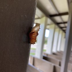 We found this in the chapel