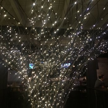 Bar Siena - Tree in center of bar - Italian Near Me - Chicago, Illinois
