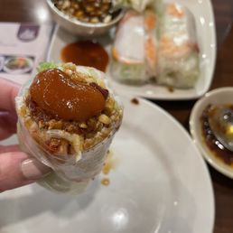 Fresh Spring Roll