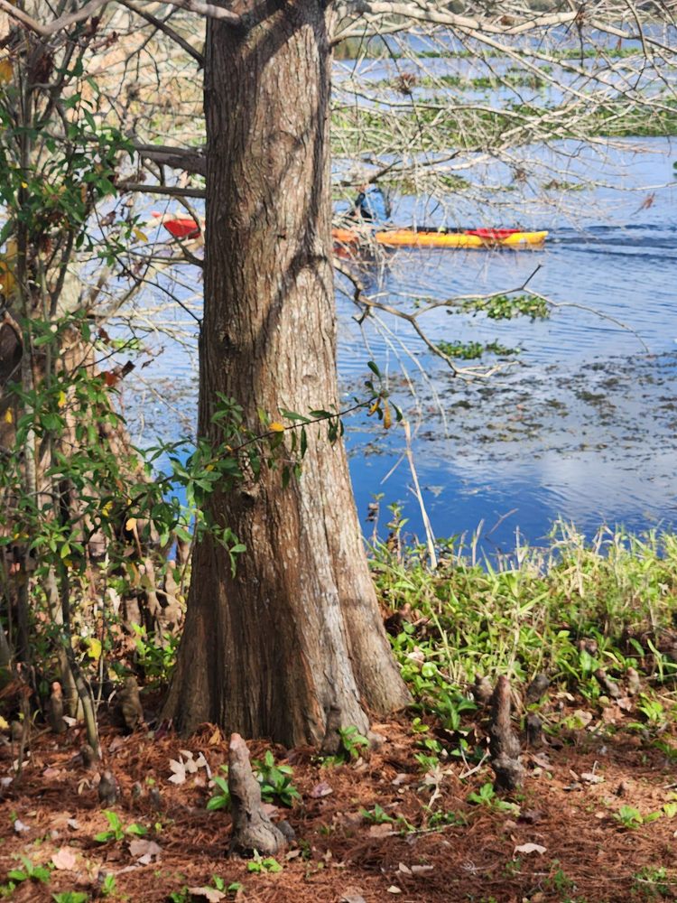 Social spots from Lake Parker Park