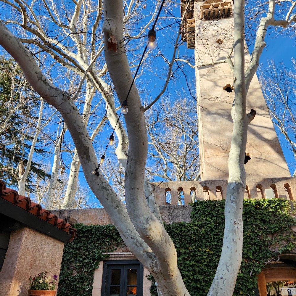 Poco Diablo Resort - Arizona Sycamore tree - Hotels Near Me - Sedona, Arizona Poco Diablo Resort - Arizona Sycamore tree - Hotels Near Me - Sedona, Arizona
