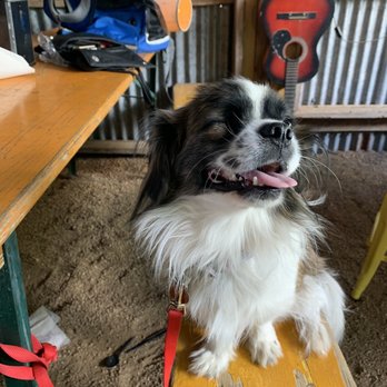 Bend General Store - Dog Friendly! - Burgers Near Me - Bend, Texas