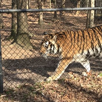 Noah's Ark Animal Sanctuary - Animal Shelters Near Me - Locust Grove, Georgia