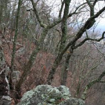 House Mountain State Park - Parks Near Me