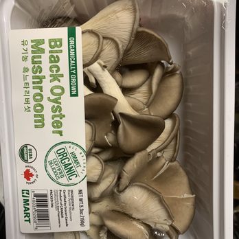 H Mart - Catonsville - Oyster mushrooms - Grocery Near Me - Catonsville, Maryland
