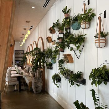 Sixty Vines - Wine Bars Near Me - Washington, DC, District of Columbia
