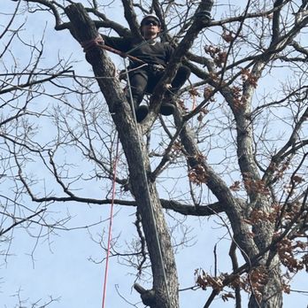 Treetop Climbers - Tree Services Near Me - Racine , Wisconsin Treetop Climbers - Tree Services Near Me - Racine , Wisconsin