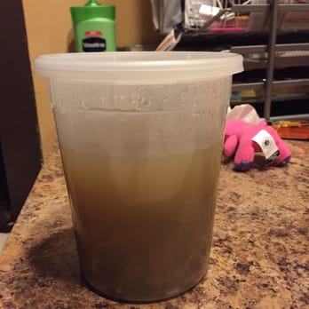 Pho Palace - Couldn't even fill the container?! - Vietnamese Near Me - Philadelphia, Pennsylvania Pho Palace - Couldn't even fill the container?! - Vietnamese Near Me - Philadelphia, Pennsylvania