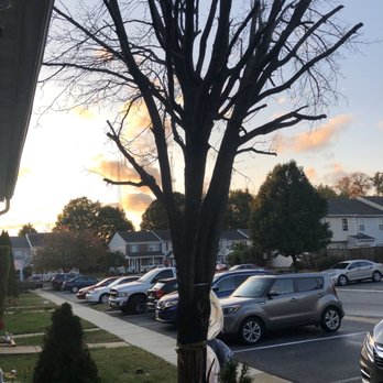 Shy Tree - A decayed tree in front of my townhouse. - Tree Services Near Me
