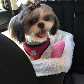 Pro-Groom - Pet Groomers Near Me - Roseville, California Pro-Groom - Pet Groomers Near Me - Roseville, California