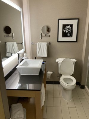 Cambria Hotel Pittsburgh - Downtown by null