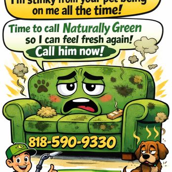 Naturally Green Cleaning - Carpet Cleaning Near Me - Van Nuys, California Naturally Green Cleaning - Carpet Cleaning Near Me - Van Nuys, California