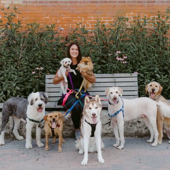 Katie & Co. - Dog Walkers Near Me - Toronto, Ontario Katie & Co. - Dog Walkers Near Me - Toronto, Ontario