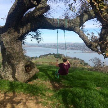 Hulet Hornbeck Trail - Hiking Near Me - Martinez, California