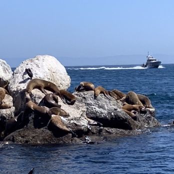 Sail Monterey - Boating Near Me - Monterey, California