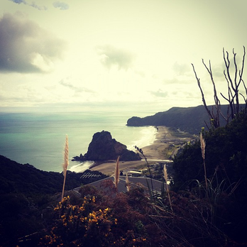 Piha Beach - The wild west coast - Beaches Near Me - Auckland, AUK