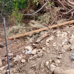 This is how they work, littered my property