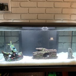 Fluval 32 gallon freshwater tank