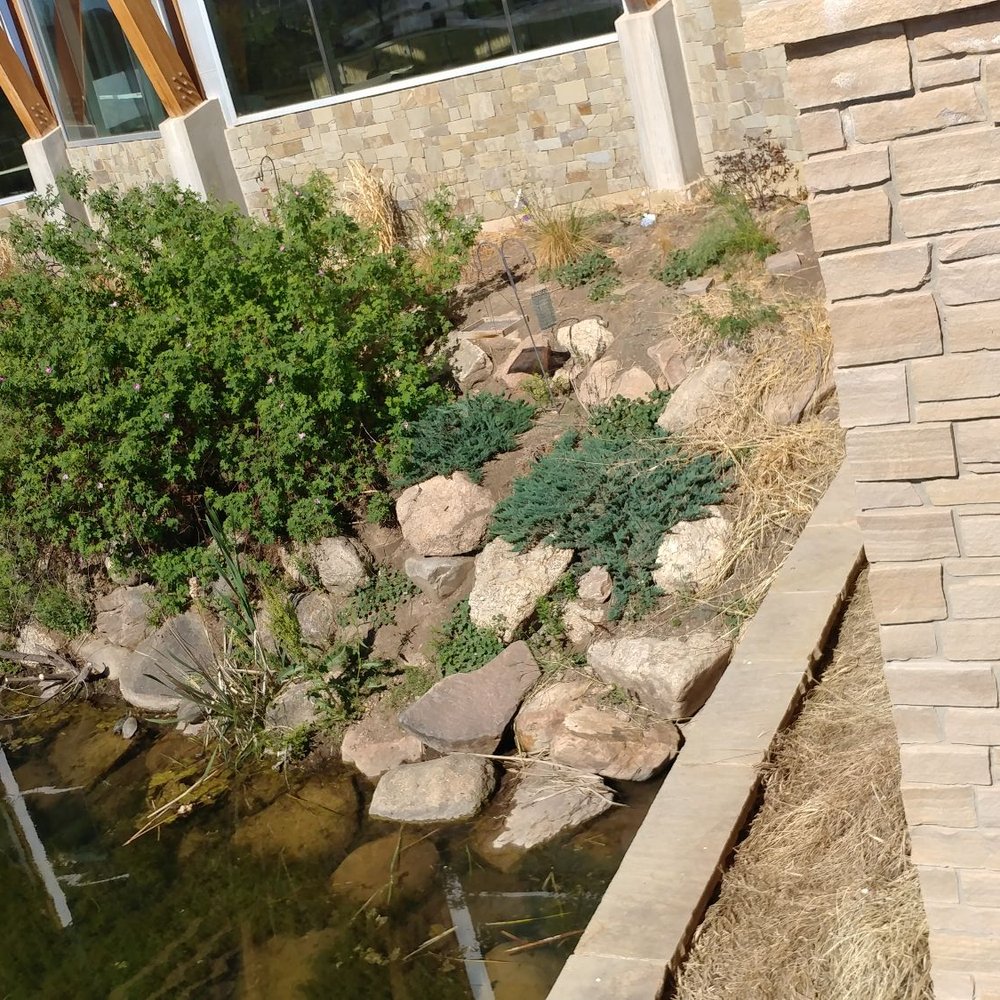 The Outdoor Campus - Turtles sunbathing in lower left on rock - Parks Near Me - Rapid City, South Dakota