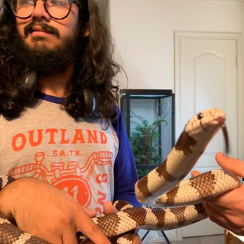 Once In A Wild - Petting Zoos Near Me Once In A Wild - Petting Zoos Near Me