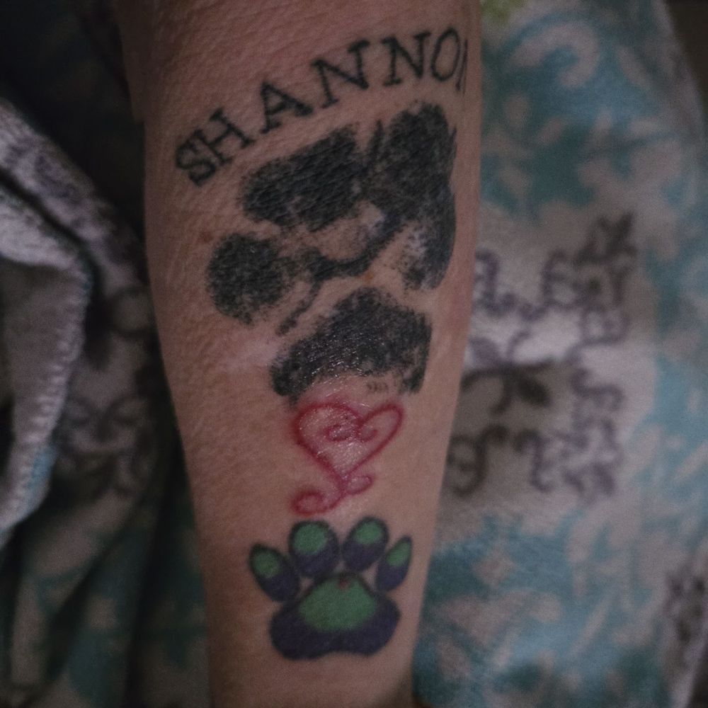 The S is upside down & S h  is too close together