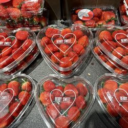 Publix Super Market - Panama City Beach