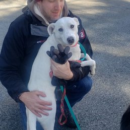 Our dog minutes after she was recovered with help from Stone Dog Inn!