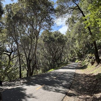 Sawyer Camp Trail - Hiking Near Me - San Mateo, California