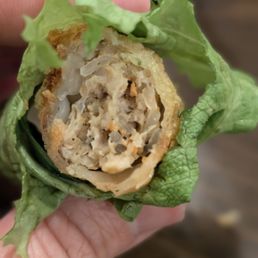Vietnamese spring roll