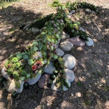 The Landscape Company - Succulent Lizard in Santa Cruz Mountains. By @rustiwillow. - Landscaping Near Me - Capitola, California The Landscape Company - Succulent Lizard in Santa Cruz Mountains. By @rustiwillow. - Landscaping Near Me - Capitola, California