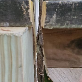American Fence & Deck - This is the "extra gate" in my existing fence that cost me $750. - Fences & Gates Near Me American Fence & Deck - This is the "extra gate" in my existing fence that cost me $750. - Fences & Gates Near Me