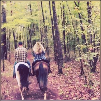 Mo's Carriages and Trail Rides - Horseback Riding Near Me - Billingsley, Alabama Mo's Carriages and Trail Rides - Horseback Riding Near Me - Billingsley, Alabama