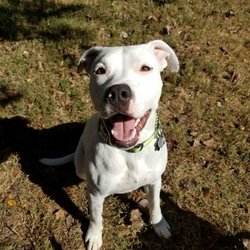Hooves and Paws Pet Sitting