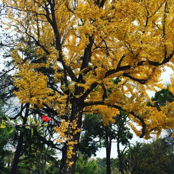 Jardim da Estrela - Parks Near Me - Lisbon, 11