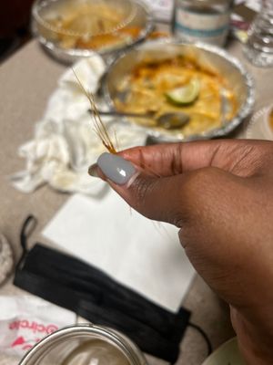 Chilacates Chestnut Hill #4 by null