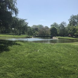 The pond The pond