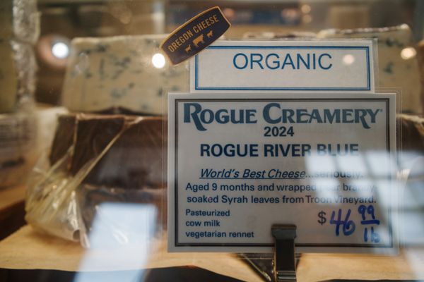 Rogue Creamery by null