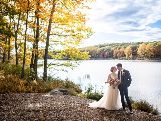 The Eldred Preserve by null