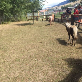 Kangaroo Creek Farm - Zoos Near Me - Kelowna, British Columbia Kangaroo Creek Farm - Zoos Near Me - Kelowna, British Columbia