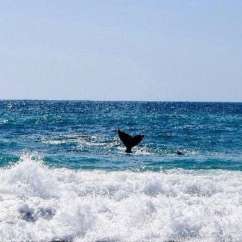Aliso Beach - Parks Near Me - Laguna Beach, California