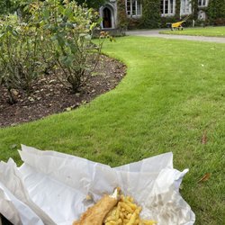 Jackie Lennox's - fish and chips with curry from Jackie Lennox, taken for an impromptu picnic in UCC's rose garden