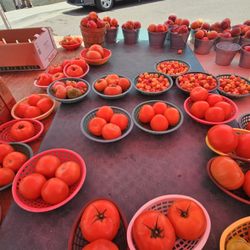 Woodland Park Farmers Market