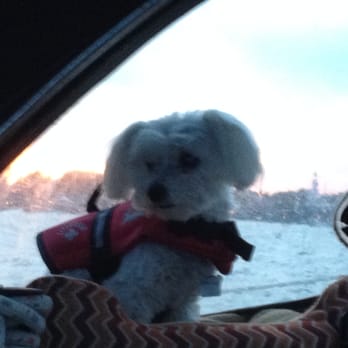 Dog Gone Sailing Charters - Boating Near Me - Provincetown,, Massachusetts
