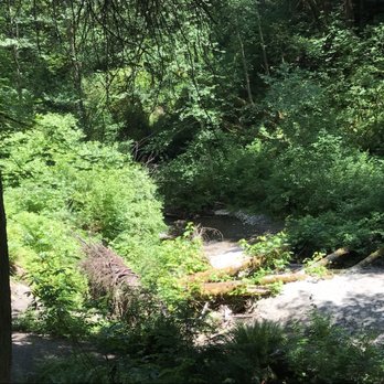 Swan Creek County Park - Parks Near Me - Tacoma, Washington Swan Creek County Park - Parks Near Me - Tacoma, Washington