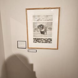 Swedish American Museum