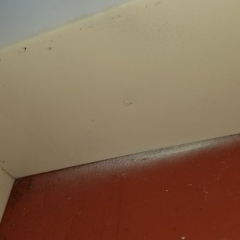 Tallon Construction Co - Spraypaint covered nailhead, overspray left on door - General Contractors Near Me - Taylor, Michigan Tallon Construction Co - Spraypaint covered nailhead, overspray left on door - General Contractors Near Me - Taylor, Michigan
