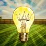 Photo of Intelligent Solutions Landscaping and Handyman