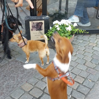 Kopps - Jippi Stockholmaren Lucy träffar bästisarna (Göteborgarna) Nelly och Speja - Coffee & Tea Near Me - Göteborg, O
