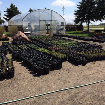 Eden's Green Nursery & Landscape - Just a small sampling of the early spring plants. - Landscaping Near Me - Montevideo, Minnesota Eden's Green Nursery & Landscape - Just a small sampling of the early spring plants. - Landscaping Near Me - Montevideo, Minnesota